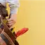 Handyman repair service in Miami, FL for home fixes and improvements