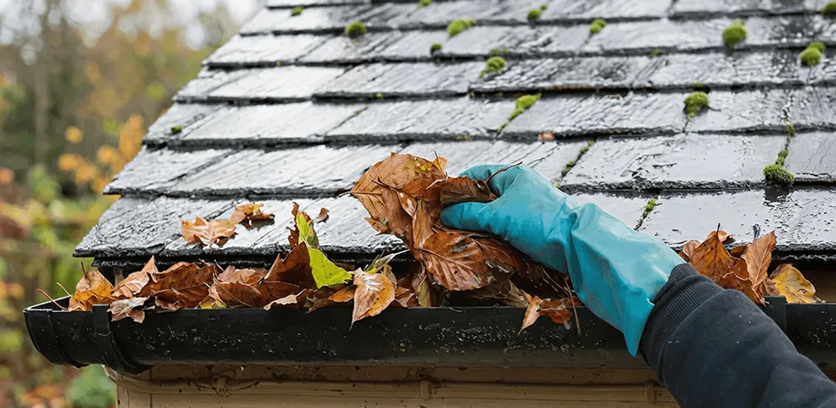 Gutter cleaning technician clearing wet leaves from roof gutters in Miami, FL